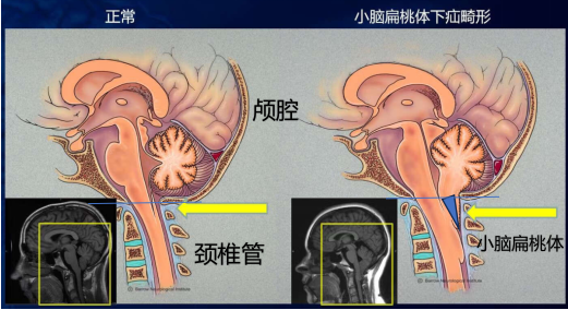 1微信图片_20240906190814.png